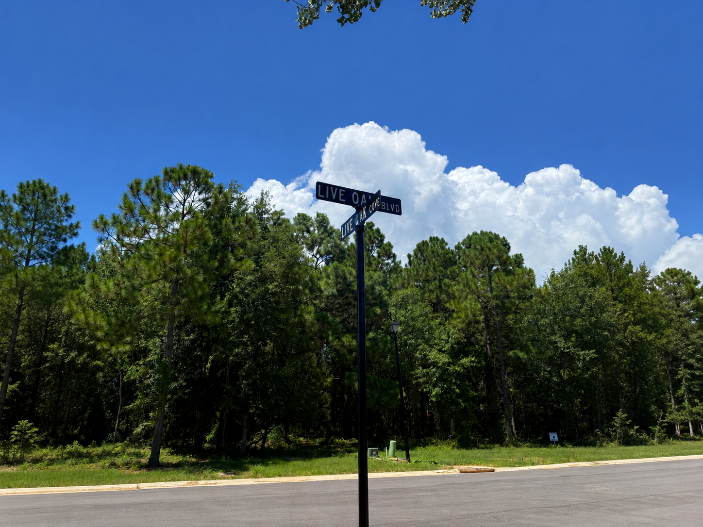 Live Oak Boulevard at Live Oak Cove